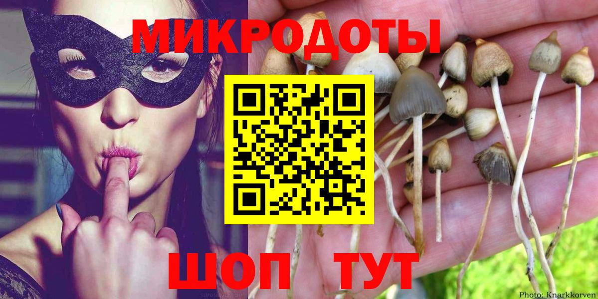 Галлюциногенные грибы GOLDEN TEACHER  Вход с VPN  Кисловодск 